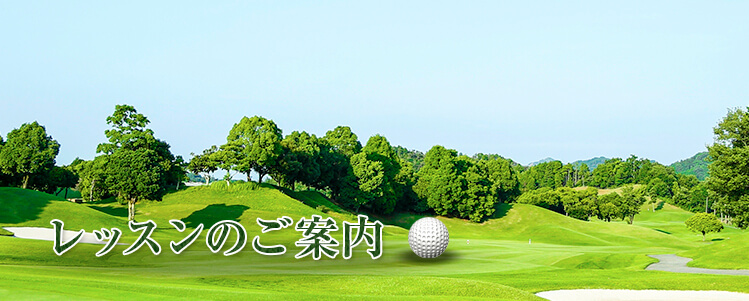 レッスンのご案内